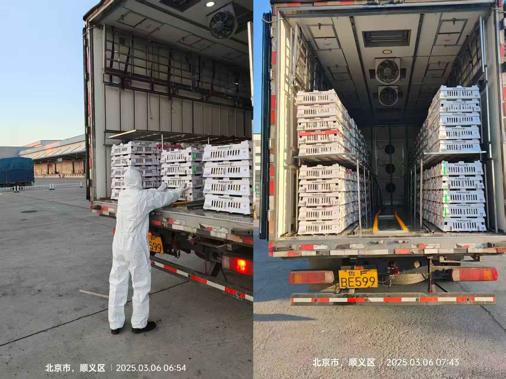 微信图片_20250307124632.jpg