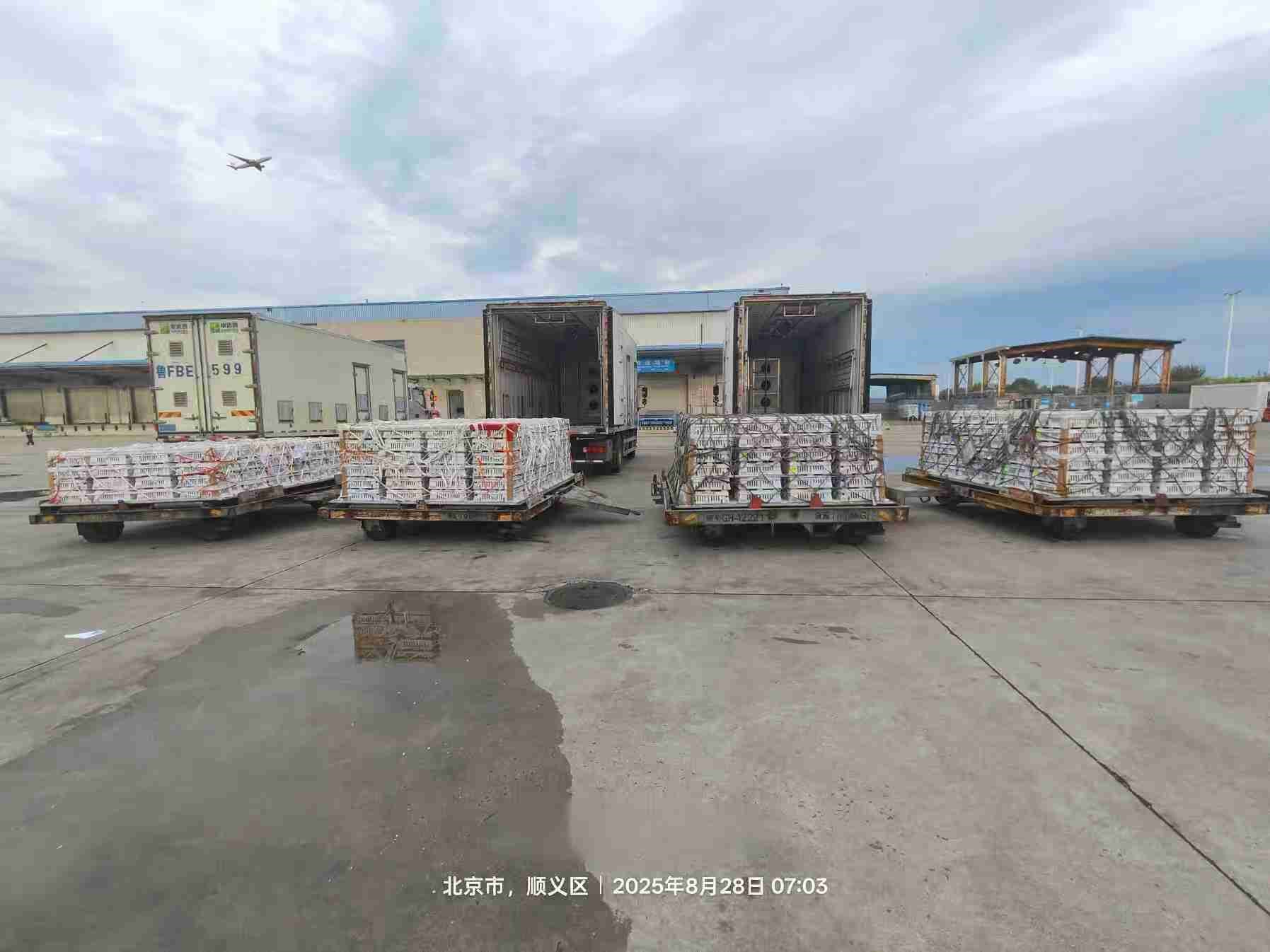 【引种】优德88股份年度引种突破16万套，市占率59%稳居行业龙头