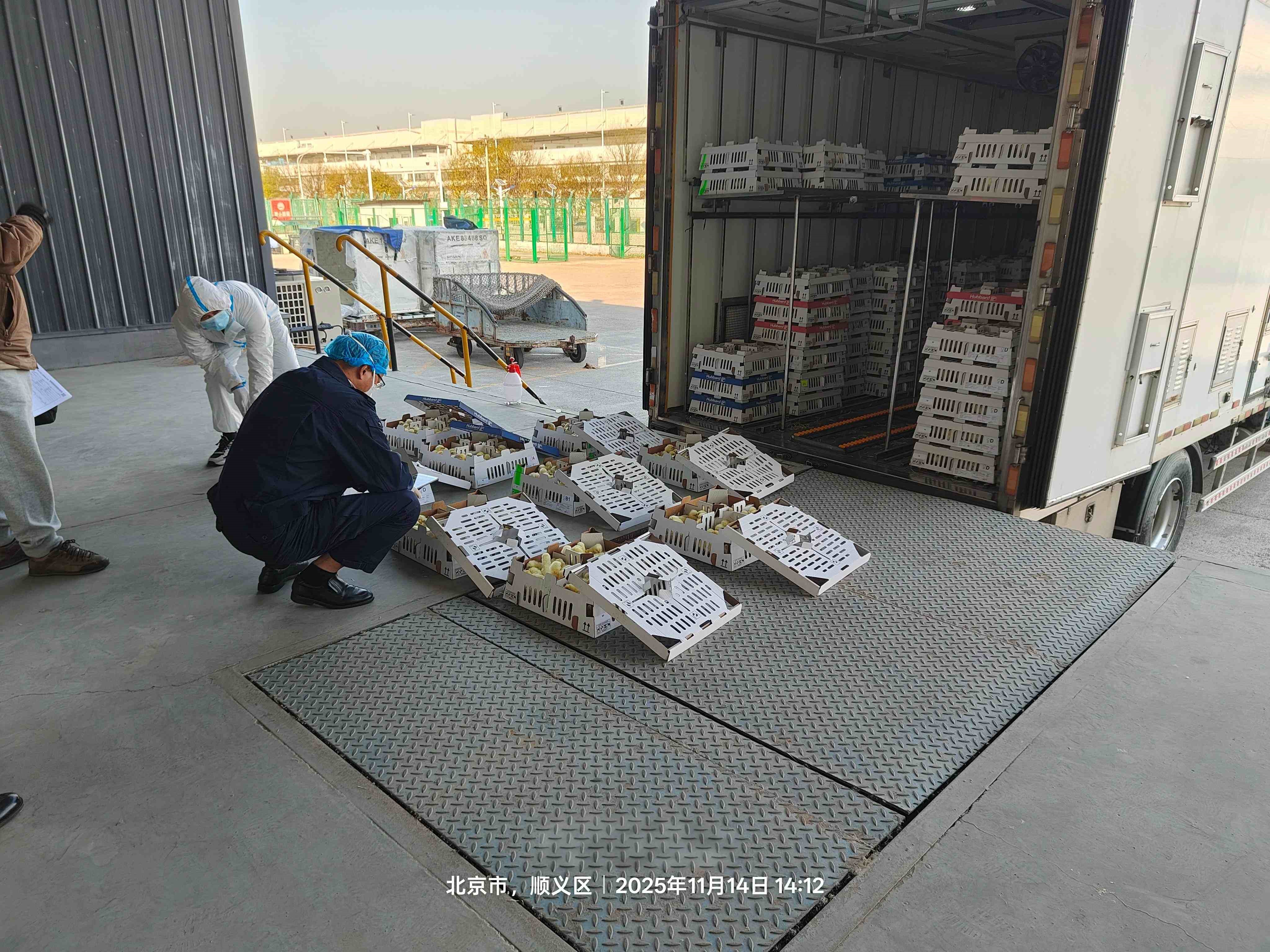 【喜讯】优德88股份再引种1.6万套祖代肉种鸡，引种总量突破23.6万套