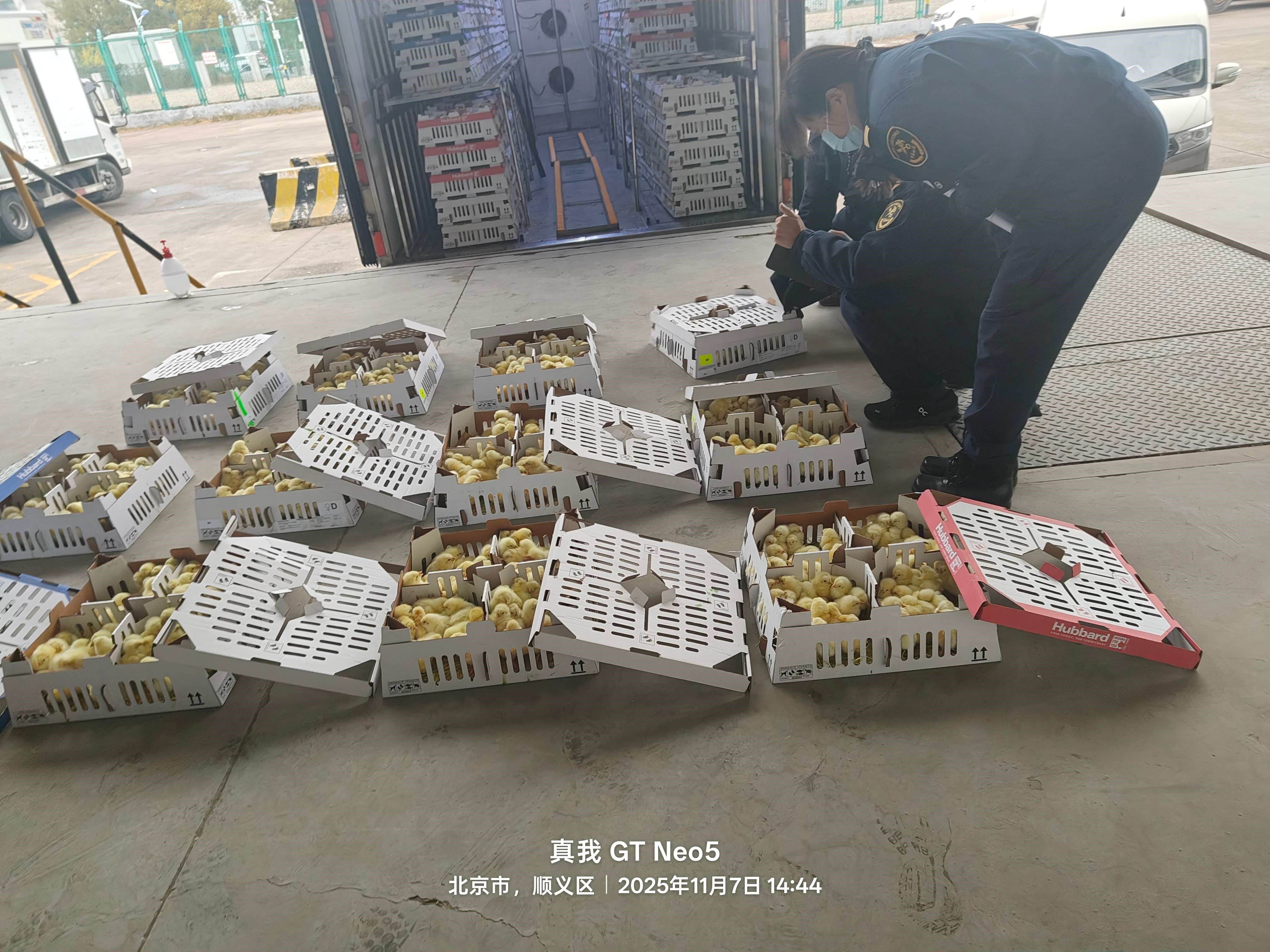 微信图片_20251107162411(1).jpg 微信图片_20251107162411(1).jpg