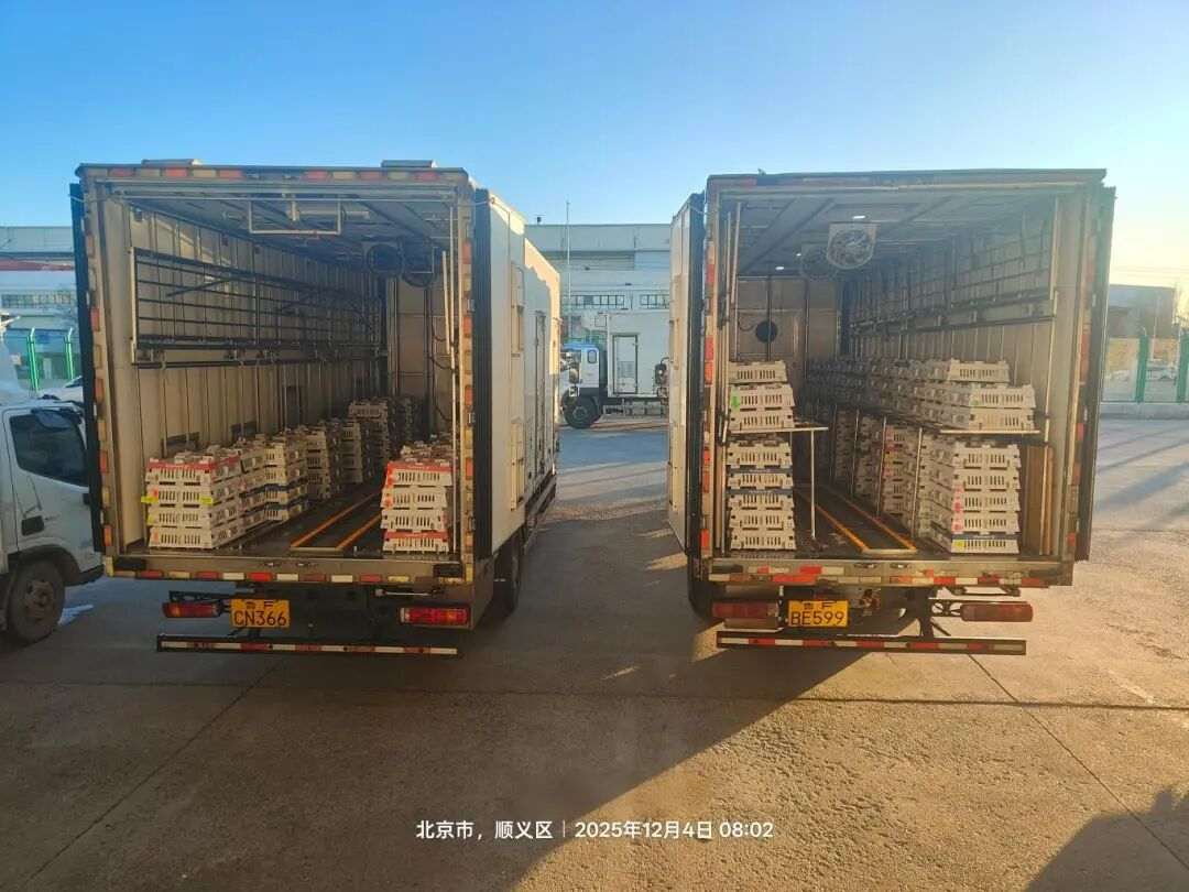 [引种】优德88股份再度引进法国种源，龙头职位坚韧保险产业不变