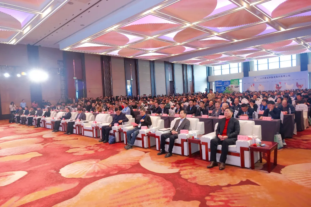 图片1(1).png 图片1(1).png