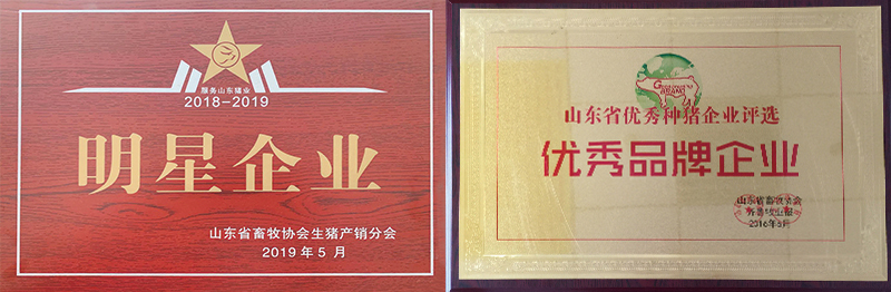 未标题-1.jpg